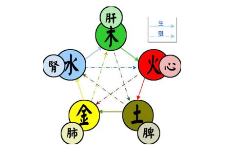 五行學|五行（对万事万物的取象比类）